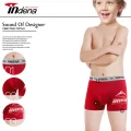 INDENA 85519 SET(4 .)