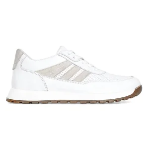 ���� ����� ̳�� 211229 (742) ����