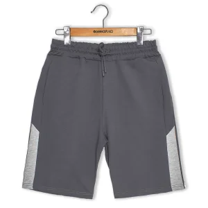 ����� ������� FAZO-R 3611 �.����