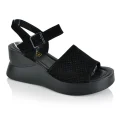 KD SL C869