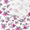 ����� ������� FAZO-R 484 �.�������
